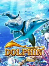 โลโก้เกม Dolphin OP - ปลาโลมา