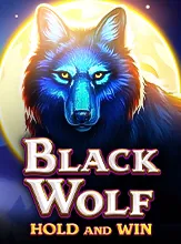 โลโก้เกม Black Wolf - หมาป่าสีดำ