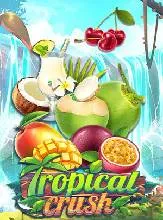 โลโก้เกม Tropical Crush - ทรอปิคอลครัช