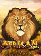 โลโก้เกม AfricanWildlife - สัตว์ป่าแอฟริกัน