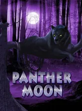 โลโก้เกม Panthermoon - ค่ำคืนเสือดำ