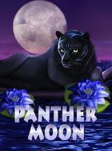 โลโก้เกม Panthermoon - ค่ำคืนเสือดำ