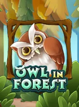 โลโก้เกม Owl In Forest - นกฮูกในป่า