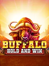 โลโก้เกม Buffalo Hold And Win - ควายถือและชนะ