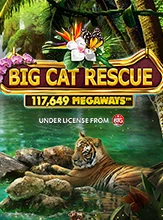 โลโก้เกม Big Cat Rescue Megaways - แมวใหญ่ช่วย Megaways