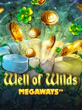 โลโก้เกม Well of Wilds Megaways DNT - เวลออฟไวลด์