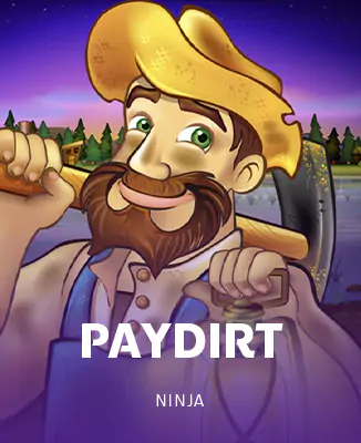 โลโก้เกม PayDirt - PayDirt