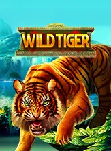โลโก้เกม Wild Tiger - เสือป่า