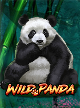 โลโก้เกม Wild Panda - แพนด้าป่า