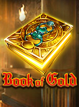 โลโก้เกม Book of Gold - หนังสือทองคำ