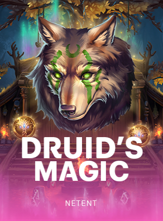 โลโก้เกม Druid’s Magic - เวทมนตร์ของดรูอิด